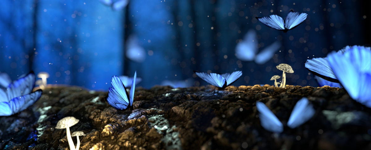 Blue butterflies on a log with flowing mushrooms