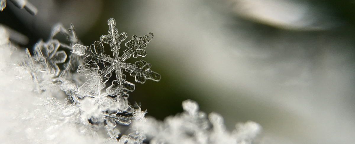 Macro image of snowflakes